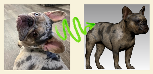 From Photo to 3D Model: How AI Creates Perfect Pet Figurines
