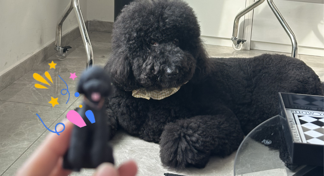 Giant-Poodle-3d-printed