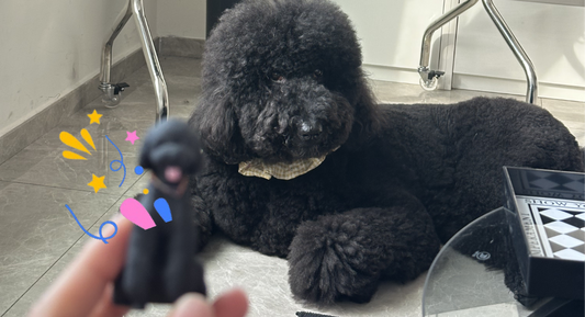 Giant-Poodle-3d-printed