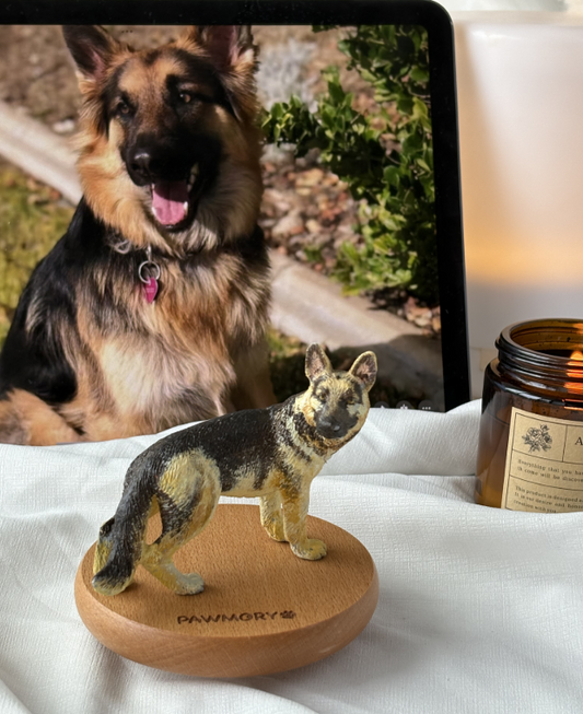 Artisan Edition - Pet 3D Printed Keepsake