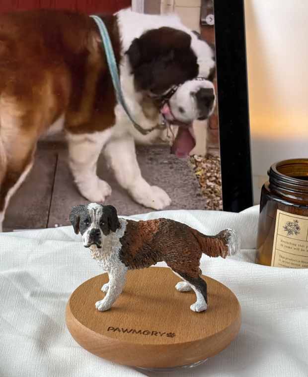 Artisan Edition - Pet 3D Printed Keepsake