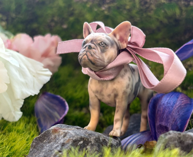 Instacolor Edition - Dog 3D Printed Keepsake