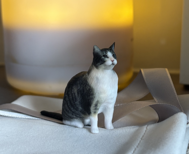 Instacolor Edition - Cat 3D Printed Keepsake